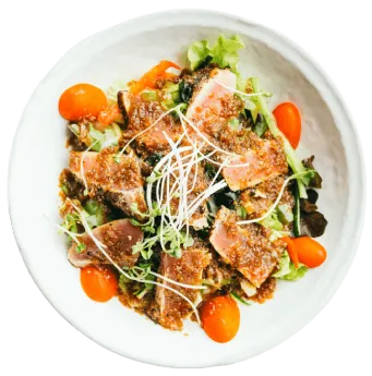 food-dish