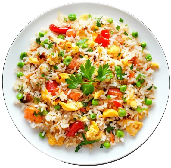 food-dish