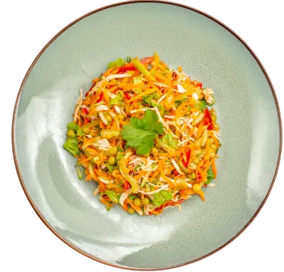 food-dish
